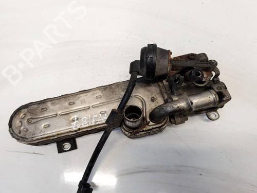 Used Egr Egr 36896075 36896075