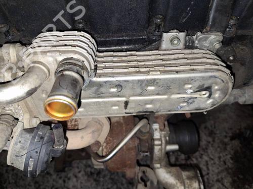 Egr AUDI A3 (8P1) 2.0 TDI | BP35155930M69 - Image 2