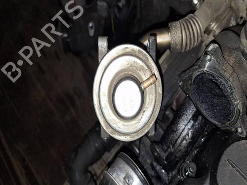Egr VW GOLF PLUS V (5M1, 521) 1.9 TDI | BP40520055M69 - Image 4