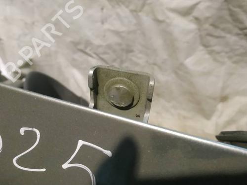 hingedoor-check-strap-renault-scenic-ii-jm01_-2003-2004-2005-2006-2007-2008-2009-2010-35352706 main image