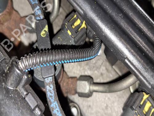 Used Injector Injector FIAT 500L (351_, 352_) 1.3 D Multijet (199LXY1A, 199LXY11) (84 hp) 40616417 40616417