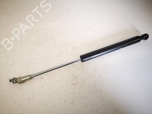 tailgate-lift-support-citroen-c5-iii-rd_-2008-2009-2010-2011-2012-2013-2014-2015-2016-2017-36759267 main image
