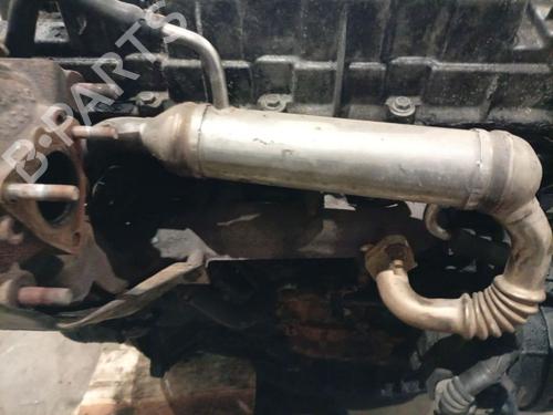 Used Egr Egr 38764874 38764874