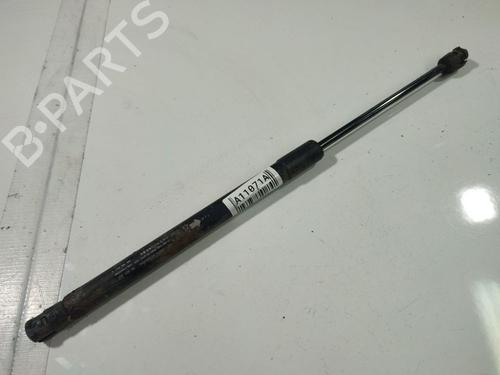 hood-lift-support-chevrolet-captiva-c100-c140-2006-34850527 main image