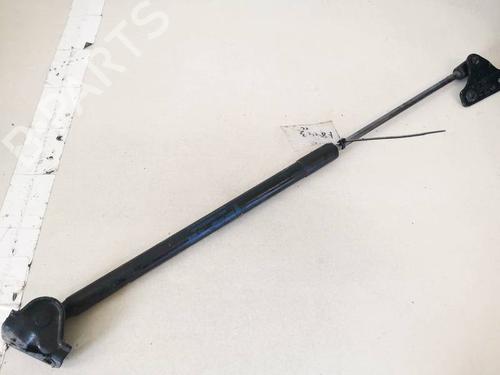tailgate-lift-support-ford-focus-iii-2010-2011-2012-2013-2014-2015-2016-2017-2018-2019-2020-35380150 main image
