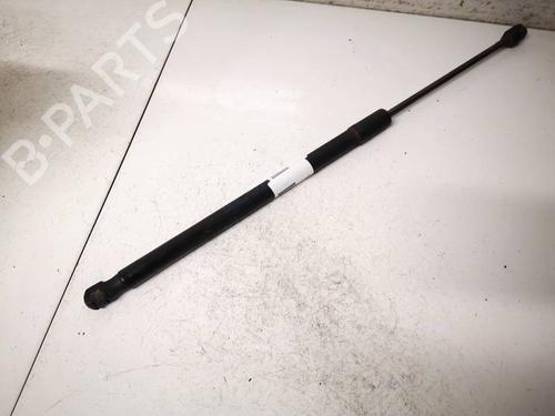 tailgate-lift-support-ford-focus-iii-2010-2011-2012-2013-2014-2015-2016-2017-2018-2019-2020-35181034 main image