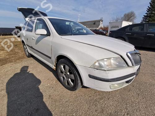 Brugte SKODA OCTAVIA II (1Z3)  1.9 TDI  4529157