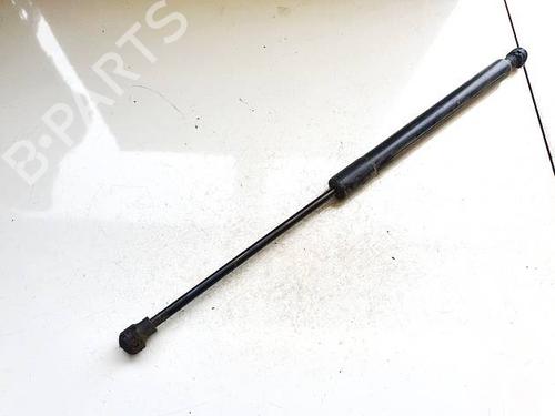 tailgate-lift-support-renault-zoe-bfm_-2012-35071161 main image