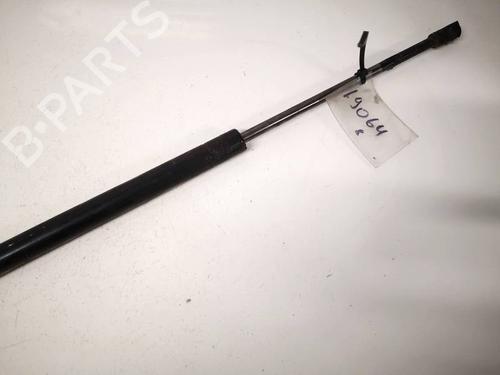 Tailgate lift support BMW X5 (E53) 3.0 d | BP35289943C138 - Image 2
