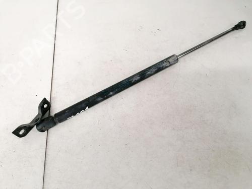 tailgate-lift-support-toyota-corolla-saloon-_e12_-2000-2001-2002-2003-2004-2005-2006-2007-2008-35520717 main image