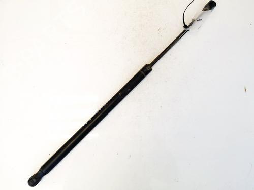 tailgate-lift-support-renault-scenic-ii-jm01_-2003-2004-2005-2006-2007-2008-2009-2010-35640414 main image