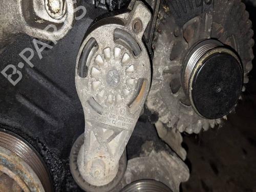 Polea Polea VW PASSAT B6 (3C2) 1.9 TDI (105 hp) 36455761 36455761