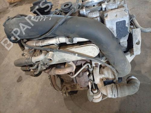 Used Pipe Pipe VW GOLF V (1K1) 1.9 TDI (90 hp) 36368856 36368856