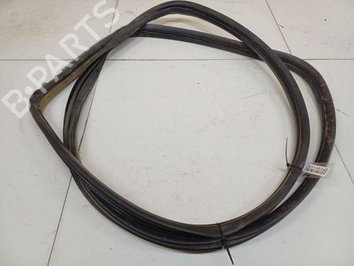 Gummiliste Gummiliste FIAT DUCATO Van (250_) 120 Multijet 2,2 D (120 hp) 36822094 36822094