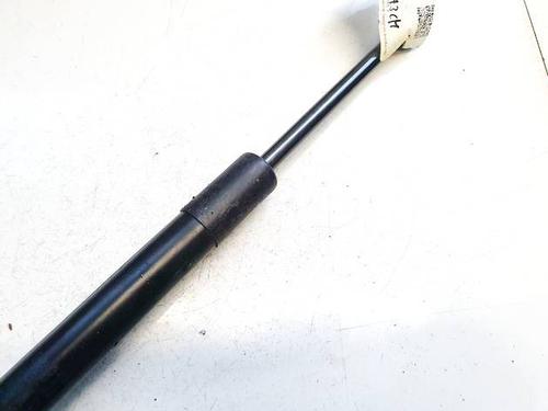 Tailgate lift support TESLA MODEL 3 (5YJ3) EV AWD | BP40287382C138 - Image 3