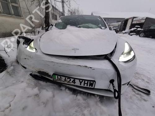 Other TESLA MODEL Y (5YJY) Long Range All-wheel Drive | BP32537524O1 