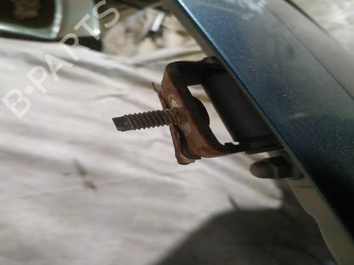 hingedoor-check-strap-nissan-primera-hatchback-p12-2002-35311000 main image