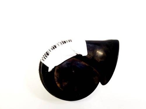 horn-rover-75-rj-1999-2000-2001-2002-2003-2004-2005-35134118 main image