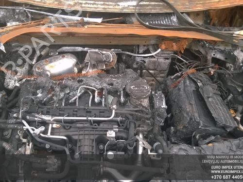 Pipe AUDI A3 (8P1) 1.6 TDI | BP33093143M125 - Image 10