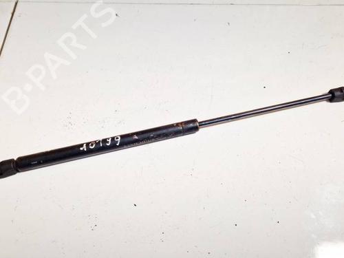 tailgate-lift-support-dr-dr-5-2007-2008-2009-2010-2011-2012-2013-2014-2015-2016-2017-2018-35019728 main image
