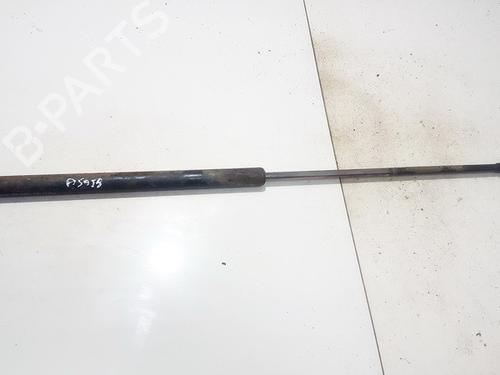 tailgate-lift-support-renault-kangoo-express-fc01_-1997-35864682 main image