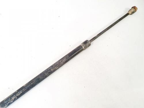 tailgate-lift-support-peugeot-307-3ac-2000-2001-2002-2003-2004-2005-2006-2007-2008-2009-2010-2011-2012-35398038 main image