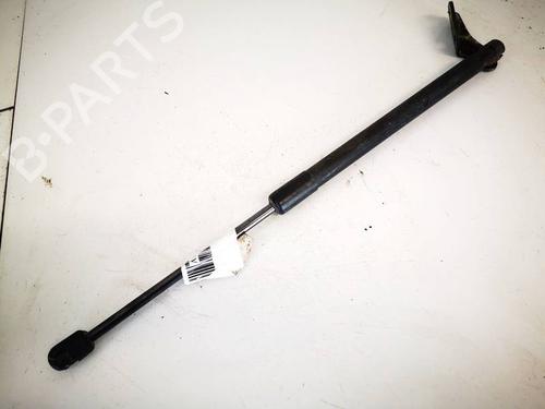 tailgate-lift-support-suzuki-swift-iii-mz-ez-2005-35015431 main image