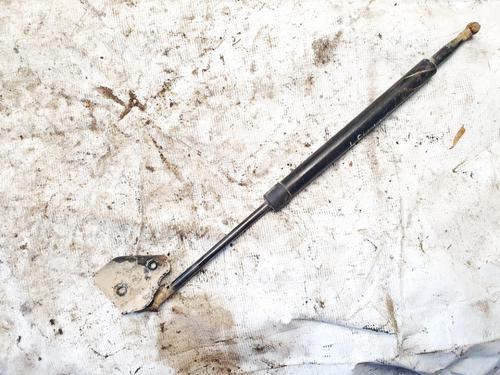 tailgate-lift-support-nissan-pathfinder-iii-r51-2005-35483399 main image