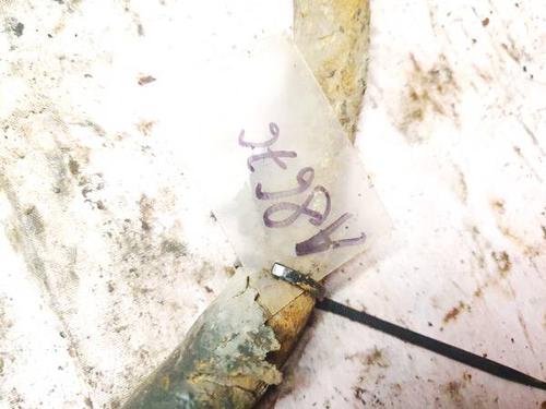 Anti roll bar VW GOLF V (1K1) 1.9 TDI | BP35344760M96 - Image 2