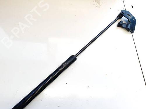 Tailgate lift support BMW X1 (E84) sDrive 18 d | BP35032117C138 - Image 2