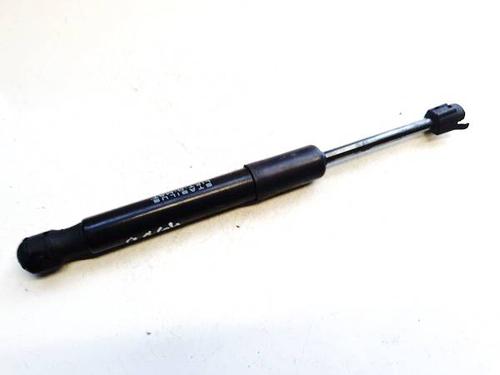 tailgate-lift-support-tesla-model-y-5yjy-2019-35122170 main image
