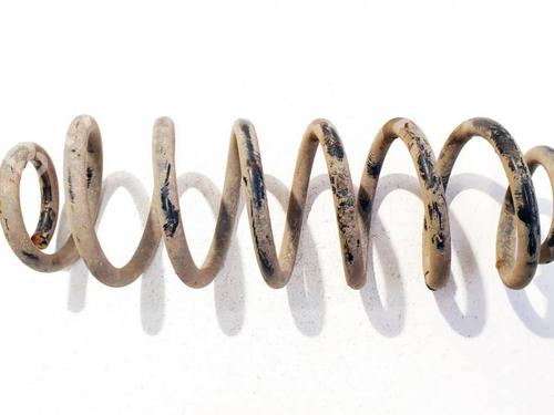 Used Shock absorber spring Shock absorber spring VW PASSAT B6 (3C2) 1.9 TDI (105 hp) 34844586 34844586