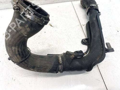 Pipe VW PASSAT B7 (362) 2.0 TDI | BP32592841M125