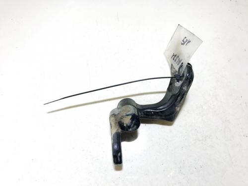 Hinge/Door check strap FORD C-MAX (DM2) 1.6 TDCi | BP33074179C146 - Image 3