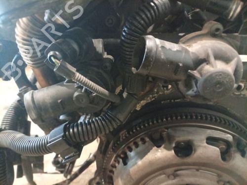 Alloggiamento termostato Alloggiamento termostato AUDI A3 (8P1) 1.6 FSI (115 hp) 37413114 37413114