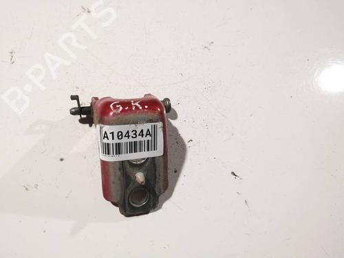 hingedoor-check-strap-citroen-c3-ii-sc_-2009-32570797 main image