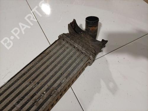 Intercooler FORD C-MAX (DM2) 1.8 TDCi | BP40113721M30 - Image 3