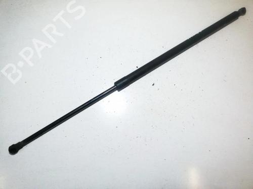 tailgate-lift-support-renault-scenic-iii-jz01_-2008-2009-2010-2011-2012-2013-2014-2015-2016-35846361 main image