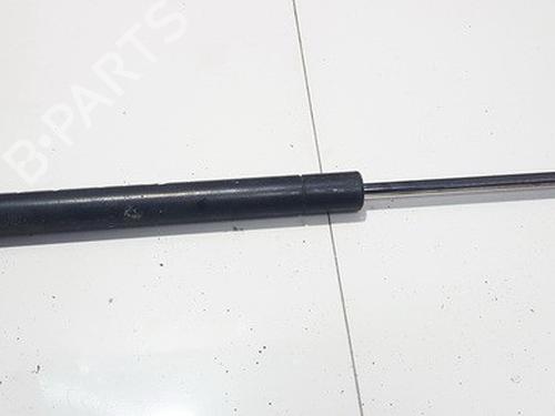 tailgate-lift-support-renault-scenic-ii-jm01_-2003-2004-2005-2006-2007-2008-2009-2010-35868808 main image