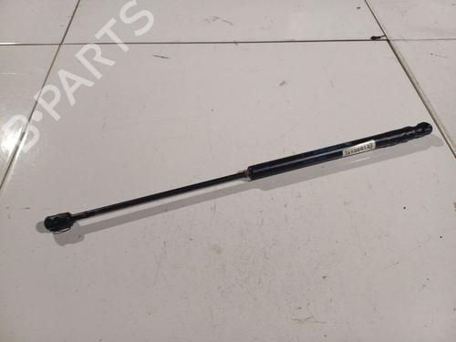 Amortecedor do capot Amortecedor do capot FIAT STILO (192_) 1.9 JTD (192_XE1A) (115 hp) 34966910 34966910