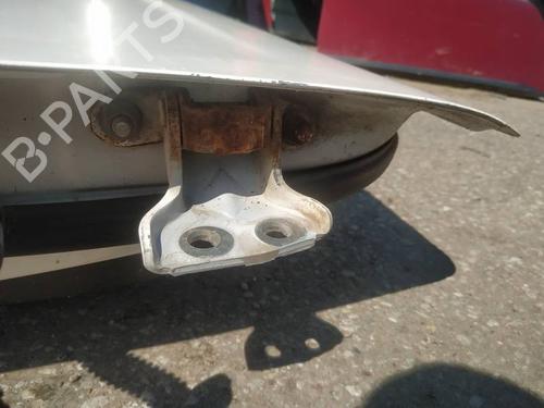 hingedoor-check-strap-nissan-nv200-van-2010-32950003 main image