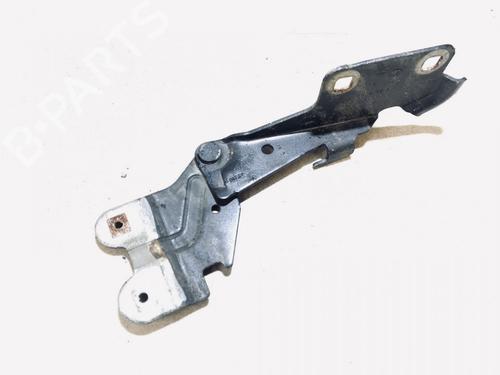 hingedoor-check-strap-renault-laguna-ii-bg01_-2001-2002-2003-2004-2005-2006-2007-35613755 main image