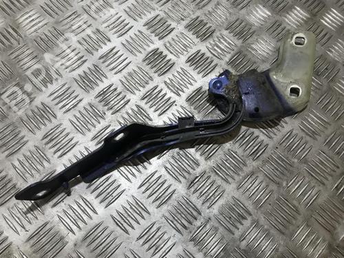 hingedoor-check-strap-renault-clio-iii-br01-cr01-2005-2006-2007-2008-2009-2010-2011-2012-2013-2014-35691406 main image