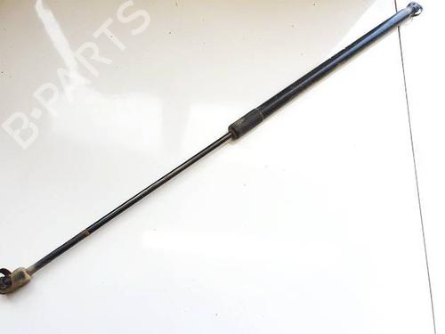 tailgate-lift-support-ford-c-max-ii-dxacb7-dxaceu-2010-2011-2012-2013-2014-2015-2016-2017-2018-2019-34765348 main image
