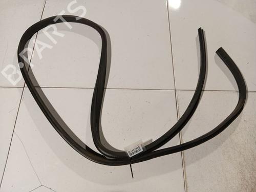 Gummiliste Gummiliste FORD MONDEO IV (BA7) 2.0 SCTi (203 hp) 34894999 34894999