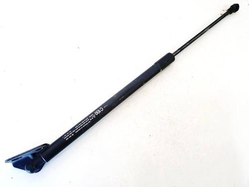 tailgate-lift-support-chevrolet-captiva-c100-c140-2006-35382104 main image