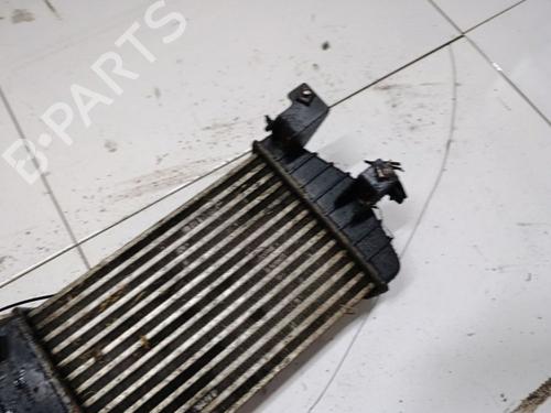 Intercooler NISSAN PRIMERA Hatchback (P12) 1.8 | BP34855072M30 - Image 3