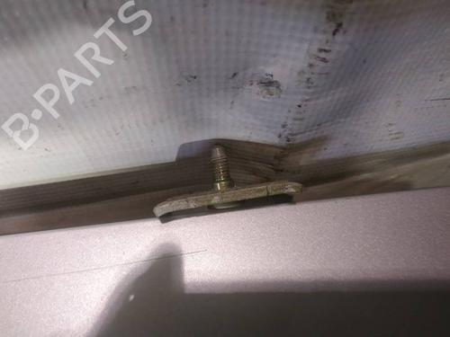 hingedoor-check-strap-peugeot-1007-km_-2005-34901730 main image