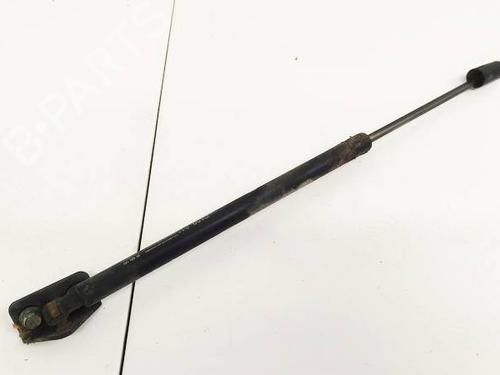 tailgate-lift-support-chevrolet-captiva-c100-c140-2006-35185847 main image