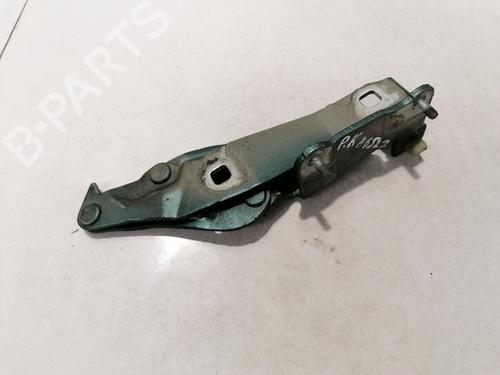 hingedoor-check-strap-renault-scenic-ii-jm01_-2003-2004-2005-2006-2007-2008-2009-2010-35578040 main image